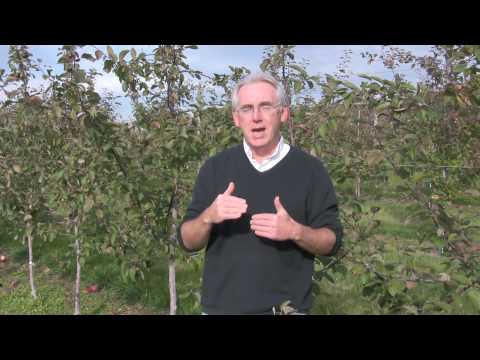 how to apply heritage g fungicide