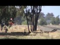 T342 Yarrawonga