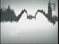 Sound of Summer