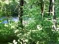 videos de Rally Dave honks to Amy at Mt Burke Hillclimb