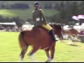 ILPH Ridden Clydesdale Championship 2006