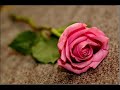 صابر الرباعي 2007 - الدنيا