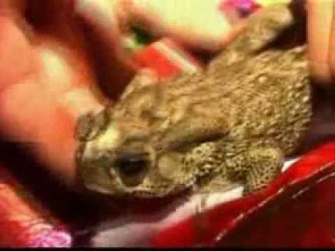 YouTube Preview Image