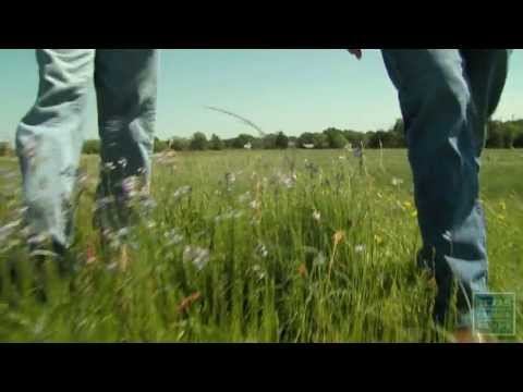 Wildlife - The Daphne Prairie in Franklin County is a winner of the Texas Parks and Wildlife 2013 Lone Star Land Steward Award. The Daphne Prairie is one of the rarest ...