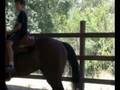 videos de luca e alessio con cavallo