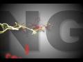 MIMS-video-small-02