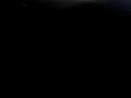 davide esposito � bercy,en 1�re partie de dany brillant.io so che tu le 12 avril 2008.hommage � gr�gory lemarchal