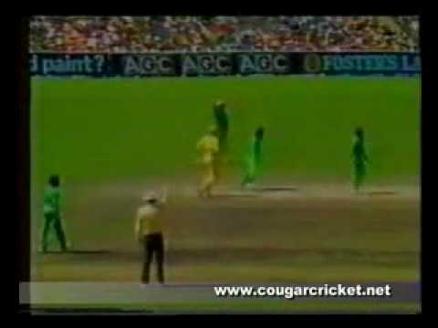 cricket