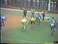 bmx old school banania bmx old school banania