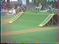 bmx old school banania