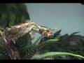 Many Horned Adder Intro