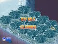 Sega Sonic The Hedgehog Arcade (Part 1 of 2) Sega Sonic The Hedgehog Arcade (Part 1 of 2)