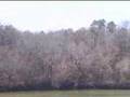 Screaming Village at Horse shoe bend in Dadeville, AL