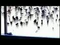 2004 - What the Bleep do we know? - Trailer