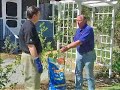 Watering & Drought Tips