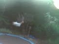 basketball flips