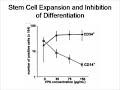 Expansion of Stem Cells by Valproic Acid Valproic acid
