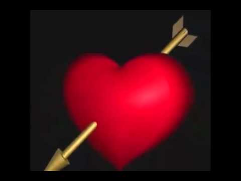 Cheb Hasni - Rani Nadem 3la Liyam By : Néji Omar .flv