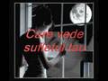 filmulete cu poze