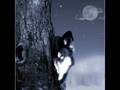 The Lone Wolf