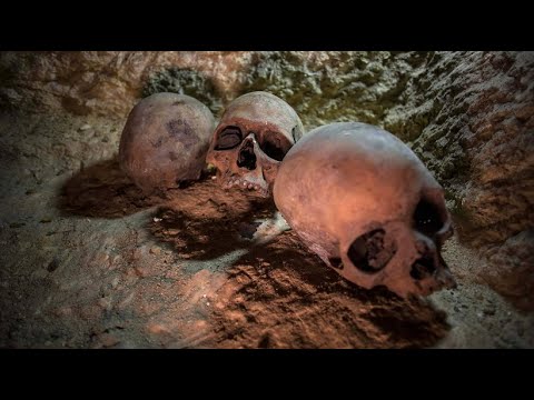 Krebsdiagnose nach 4.000 Jahren bei Mumien aus gypte ...