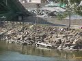35W Bridge in the Background: Barges Haul Debris, 8-25-07