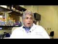 Drs. Pam Lucchesi and Vidu Garg discuss translational heart research at Nationwide Children's