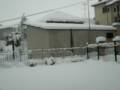 UN GIRO IN CORTILE