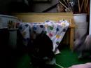 Sammy der kleine Drecksack