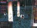 Lineage 2 echokinetics