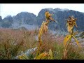 high tatras high tatras