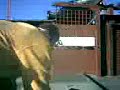 Add Video to QuickList