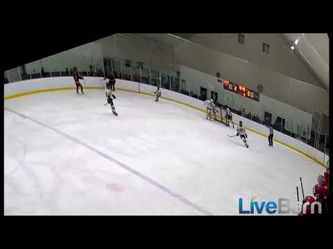 20 penalty kill goal