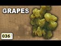 Is It A Good Idea To Microwave Grapes?