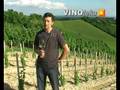videos de Zdenko Å ember - vinar s PleÅ¡ivice