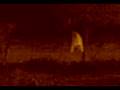 videos de susto higueras