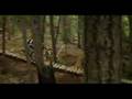 Stund Ep 5 - Kinrade