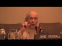 Int'l Day of Peace 08: Dr. Jane Goodall