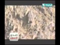 صدى الأسبوع 1-3-2013م