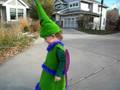 videos de Twiddlebug on Oakleaf Circle
