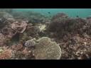Maldives: Island Kingdom Under Siege
