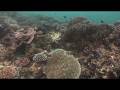 Maldives: Island Kingdom Under Siege