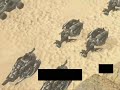 Halo 3: Halo3Forum NEW EXCLUSIVE 38 Seconds of AWESOME!