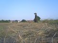 wo2 movie trailer