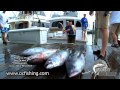 OC Fishing Center - "The Daily Catch #6" - Moore Bills 2012