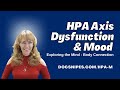 HPA Axis Dysfunction &amp; Mood | Exploring the Mind Body Connection