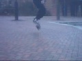 BSFLIP