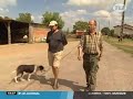 Fi�vre catarrhale / langue bleue: cellule de crise