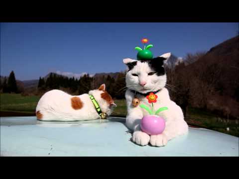 ひだまりガーデン Moving flower