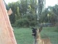 [video]